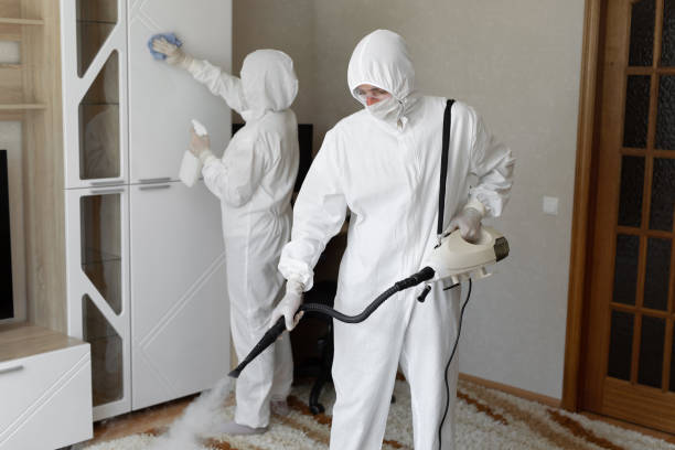 24/7 Emergency Odor Removal experts in Hudson, FL