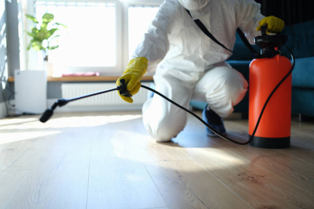 Reliable Odor Removal contractor in Hudson, FL by Dulley Family Biohazard Services